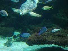 바다의 파랑 속에 잠긴 도서실