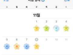 [겨울] 11월 08일⎜편안한 분위기를 느낄 수 있는 하루가 될 것