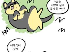 잇냥 댕밍 댕겸 외전