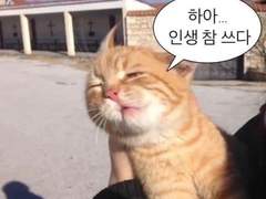 남자들아 나다싶으면봐라