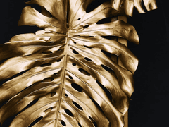 [화산귀환/장일소 드림] 안녕히 주무셨어요 련주님! 2