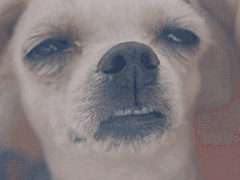 드림빌라 301호에서는 무슨일이