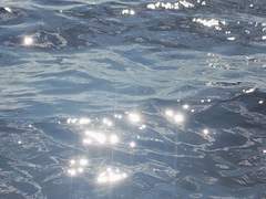 제 것이라 낙인된 바다에서