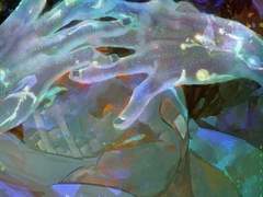 𝙸’𝚖 𝚊 𝚍𝚎𝚖𝚘𝚗, 𝙻𝚘𝚛𝚍