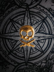 원피스의 수호자