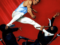 A228) 짐카타 (Gymkata, 1985)