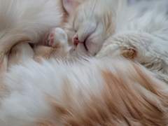 위로의방법 그리고 위로