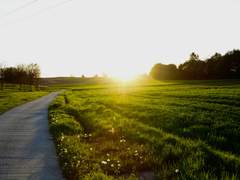 처음으로 돌아간다고 해도. 여전히.