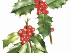 친애스 리뷰 - 클로에 콜린즈