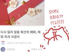 🌸매화 자개 귀걸이 수요폼 하루전