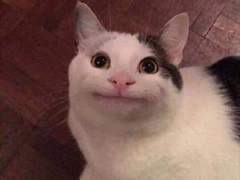 퍽퍽한 센티넬들 그리고 촉촉한 가이드 4