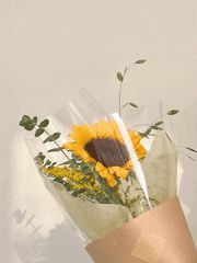 [하이큐/보쿠아카]