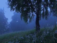 화산귀환: 저주받은 소녀