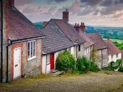 어느 작은 언덕 위, 풀벌레의 관조적 운율