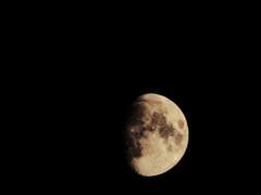 내가 너희의 탓이라