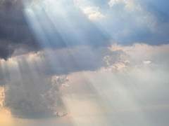 주술회전 네임리스 드림