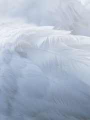 악마랑 키스하면 지옥 가나요?