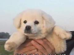 나와 같은 생각을 하는 누군가에게