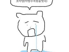 썻씁니당 시를!