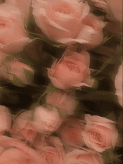 Love is everything it's cracked up to be