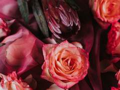 [아델라이스] 고아한 소녀