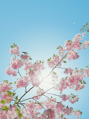 도사?오히려 좋은데요?