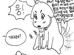 탁견의 기다려훈련