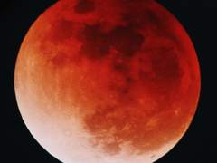 IF. You were not there (3)