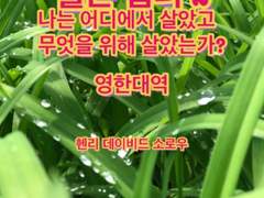 [번역]월든 챕터 2 나는 어디에서 살았고 무엇을 위해서 살았는가? Where I Lived, and What I Lived For