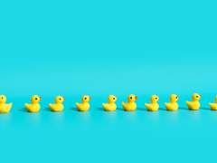 유료 리퀘스트 안내