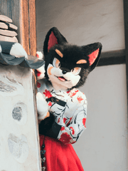 Archive: 소행성, K23QM2W(고양이별)