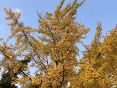 아마도 소설 티저