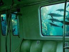 掃除しようぜ。