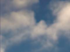 [조로산] 憐 (연)