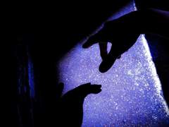 센티넬들의 세계 4