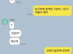 주찬양 연애한다던데?