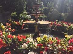 류페의 캐릭터 해석 1