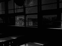 무월의 밤하늘 너라는 초신성