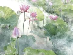 [살파랑] 위환기하 爲歡幾何