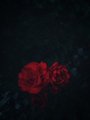 선 결혼 후 연애