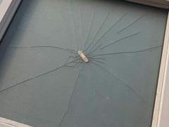 육아의 목적은 독립 4