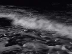 당신을 닮은 파도