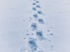 [쿠로카와 이자나 네임리스 드림] Accompany