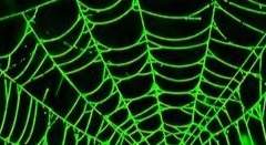 나나세 루이 / 女