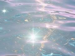 파도를 노래하려면 02