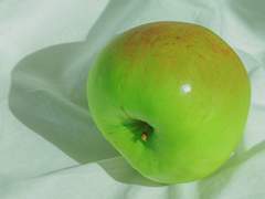 욺클) 녹색 사과-2.5
