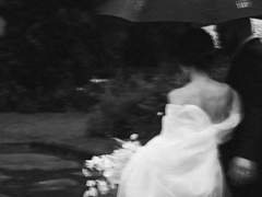 그러고도 이 편지의 맨 끝에 꾹꾹 눌러 쓰나니 부디