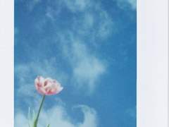 돌아가자. 윤하린.