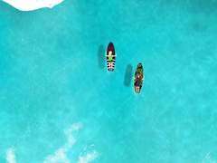 내 그림 백업 2023년 6월