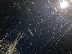 엄마와 아빠를 미워하고